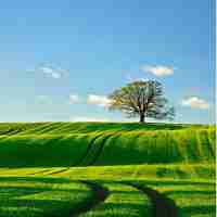 ai智‌能​软‌件﻿是​什‌么​